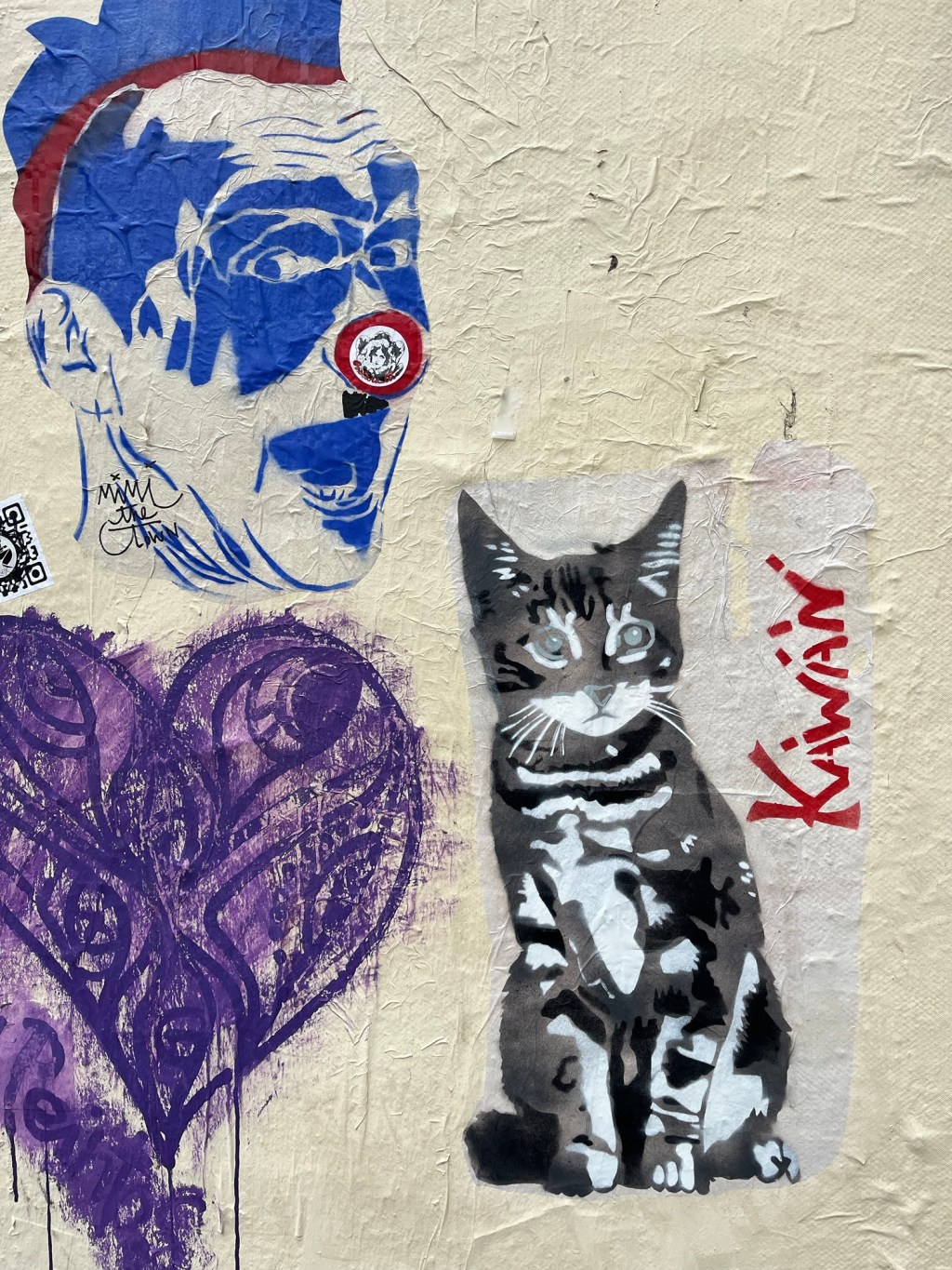 When cats fly